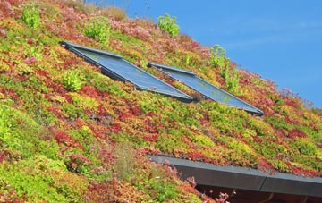 Rothersthorpe living roof systems